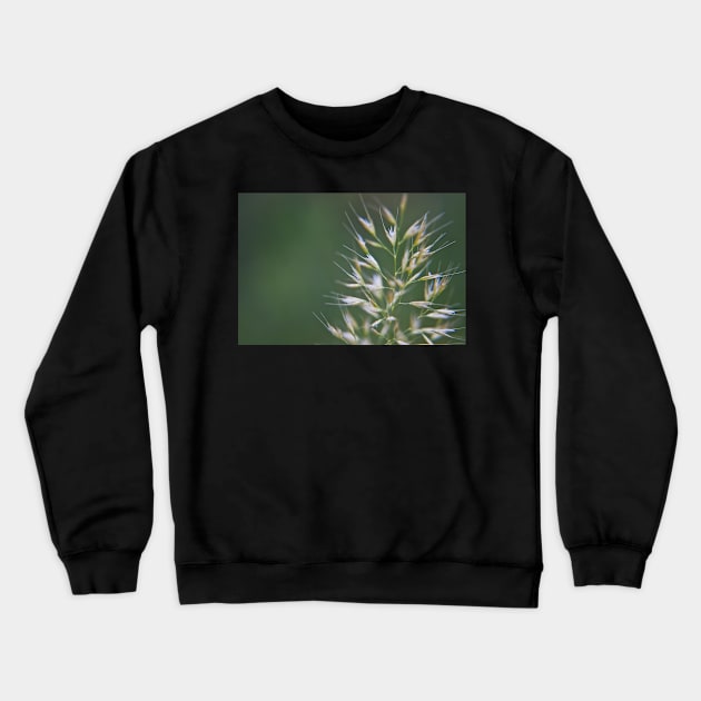 Grass Seeds Crewneck Sweatshirt by InspiraImage